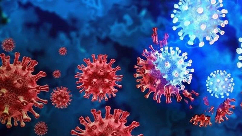 Dünya alarmda! Maymun çiçeği iki ülkede daha görüldü