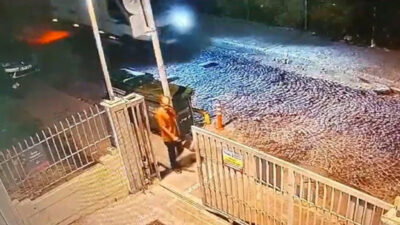 Sokak köpeklerinin saldırısında ölmüştü! İşte hastane raporunda dehşetin izleri