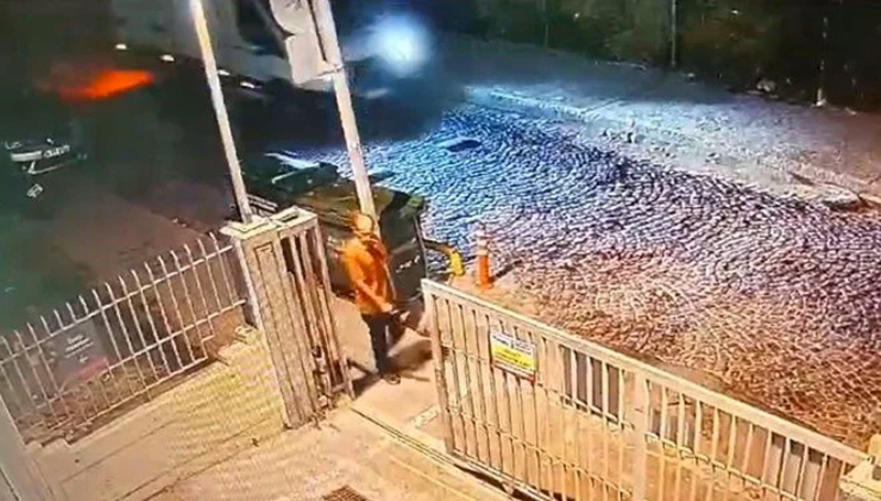 Sokak köpeklerinin saldırısında ölmüştü! İşte hastane raporunda dehşetin izleri