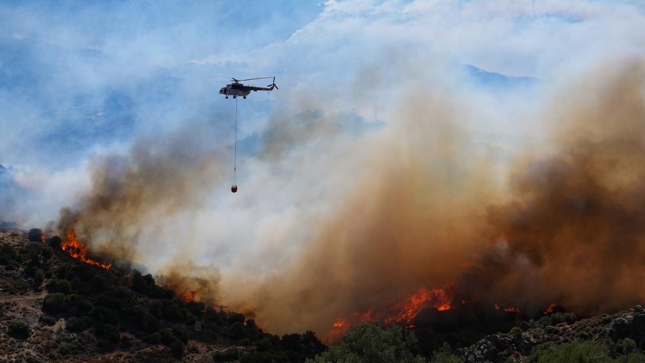 6 ilde orman yangını