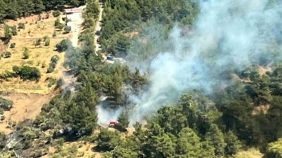 İzmir’de orman yangını! Kontrol altına alındı