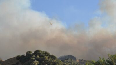 2 ilde orman yangını