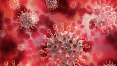 Türkiye’de maymun çiçeği vakası var mı? Sağlık Bakanlığı açıkladı