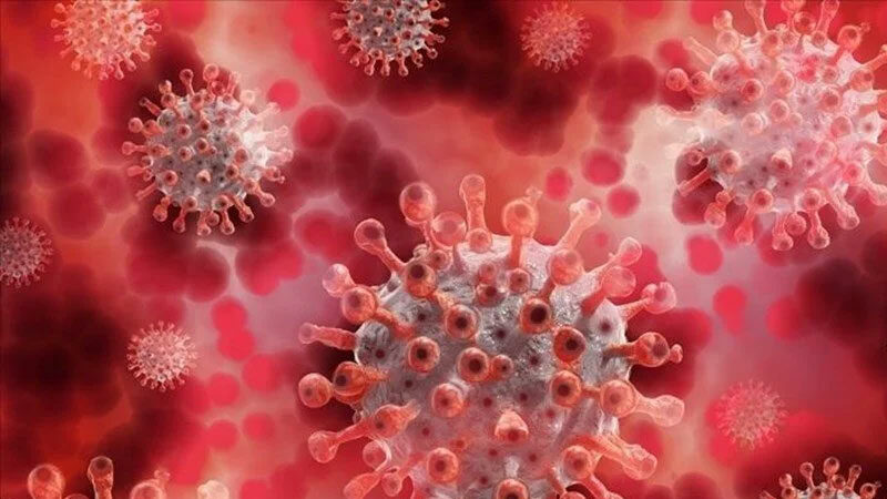 Türkiye’de maymun çiçeği vakası var mı? Sağlık Bakanlığı açıkladı Sağlık Bakanlığı’ndan maymun çiçeği virüsüne ilişkin açıklama geldi. Türkiye’de henüz