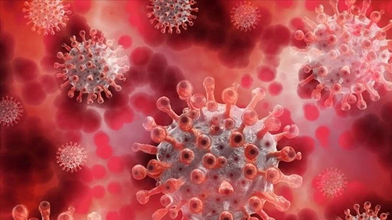 Türkiye’de maymun çiçeği vakası var mı? Sağlık Bakanlığı açıkladı