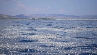 İzmir’den sonra Yunanistan! Milyonlarca ölü balık…