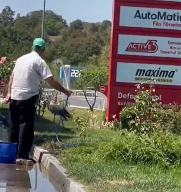 Bursa’da sıcaktan bunalan leyleği böyle serinletti