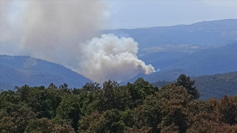 Bursa'nın İznik ilçesinde ormanlık alanda yangın çıktı. 85 araç 302