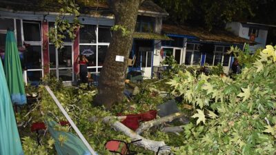 Asırlık çınarın altında dehşeti yaşadılar: 2’si ağır 9 yaralı