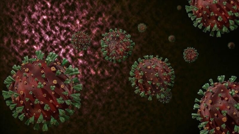 Sağlık Bakanlığı, maymun çiçeğine (MPox) karşı yapılması gerekenler, izolasyon ve