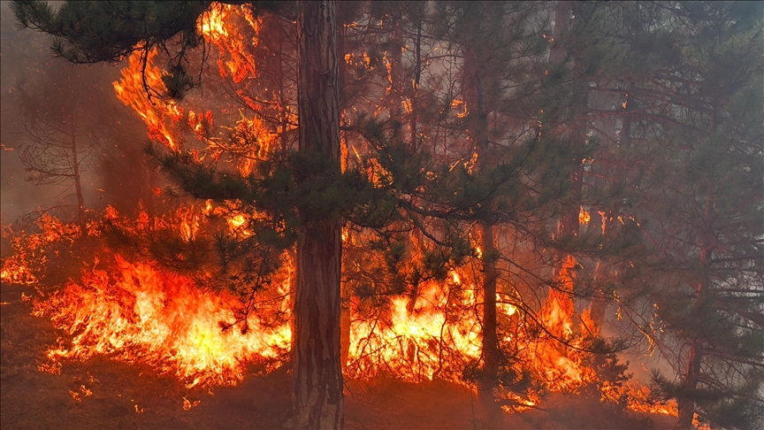 12 il için orman yangını uyarısı