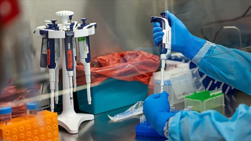 Sağlık Bakanlığı, "M çiçeği" hastalığına ilişkin merak edilen 11 soruyu