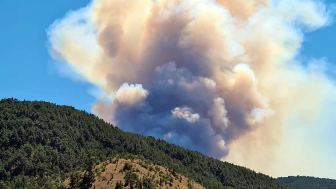 Bolu’da orman yangını