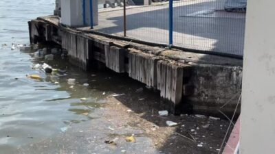 İzmir Körfezi’nde kâbus bitmiyor