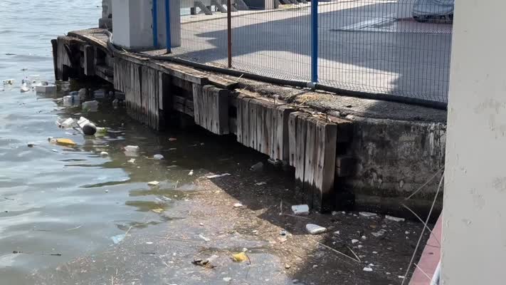 İzmir Körfezi’nde kâbus bitmiyor