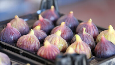 Türkiye’nin AB’de tescilli lezzet sayısının artması bekleniyor