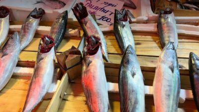 Bursa’da balık tezgâhları şenlendi