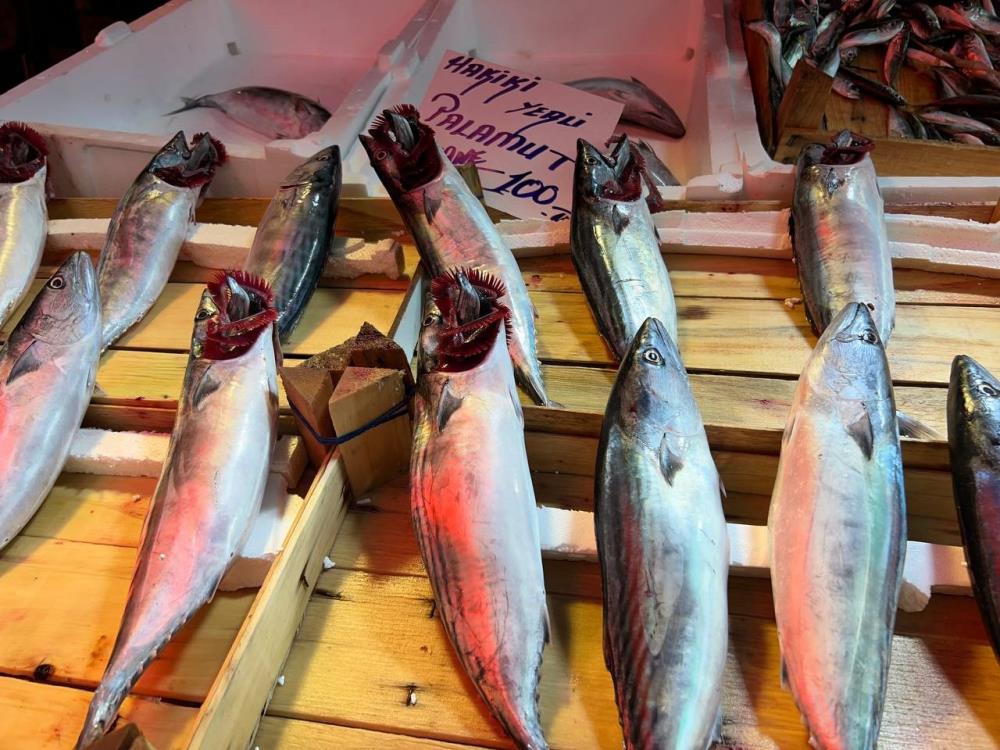 Bursa’da balık tezgâhları şenlendi