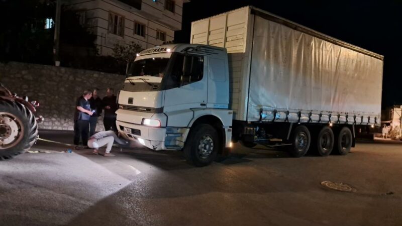 Bursa’da kamyonun çarptığı 350 kiloluk domuz telef oldu Bursa’nın İznik ilçesinde yola aniden fırlayan yaklaşık 350 kiloluk domuz,