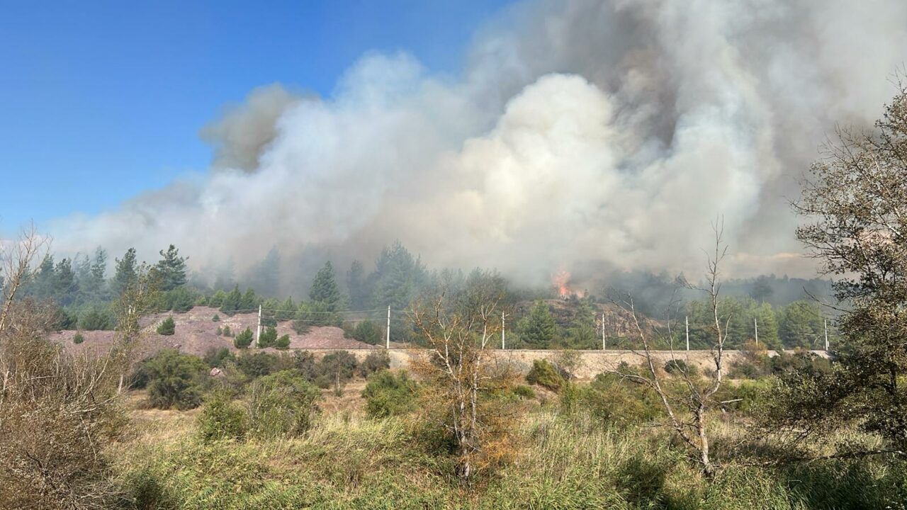 Bursa’da orman yangını