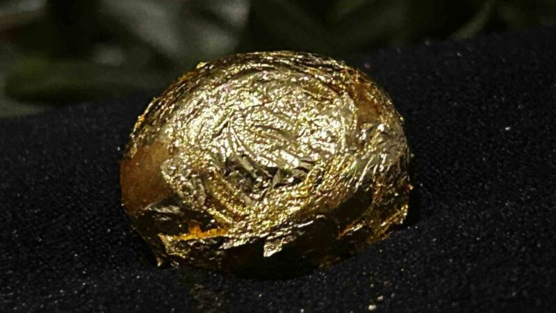 Altın kaplamalı zeytin, 31. Uluslararası Gemlik Zeytini Festivali’nde alanı dolduran