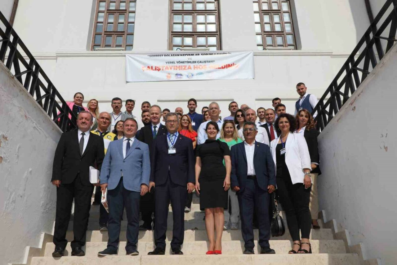 Başkan Şadi Özdemir’den sokak hayvanları açıklaması: ‘Toplamayı düşünmüyoruz’