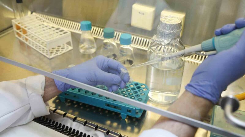 Bursa Teknik Üniversitesinin (BTÜ), bitki beslemesinde verim artırıcı olarak bilinen