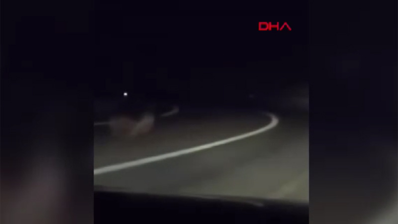 Bursa’da o anlar kamerada! Aniden önlerine çıktı