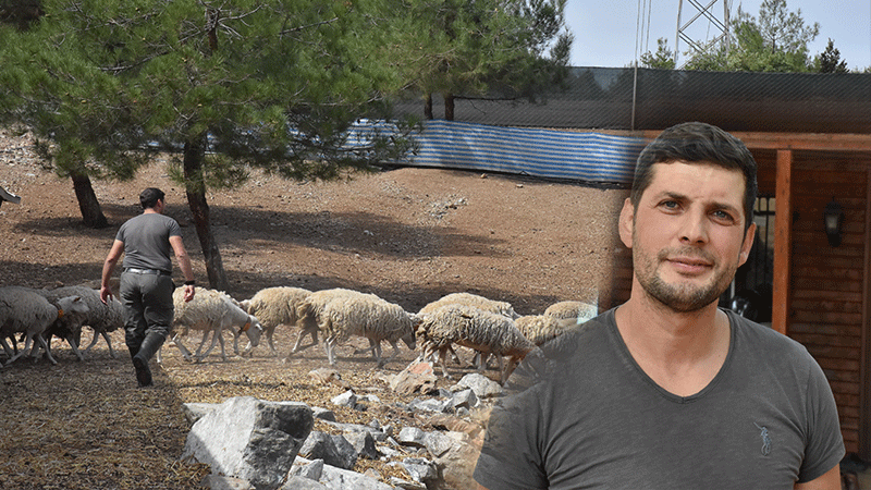 Almanya'dan Türkiye'ye kesin dönüş yapan Hasan Sarıtaş, geliştirdiği et verimi