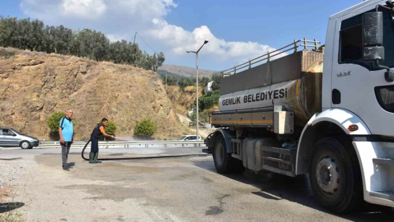Gemlik’te dört koldan temizlik Gemlik Belediyesi Temizlik İşleri Müdürlüğü ekipleri, ilçe genelinde temizlik çalışmalarına