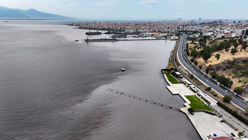 İzmir Körfezi can çekişiyor! Balıklardan sonra şimdi de…