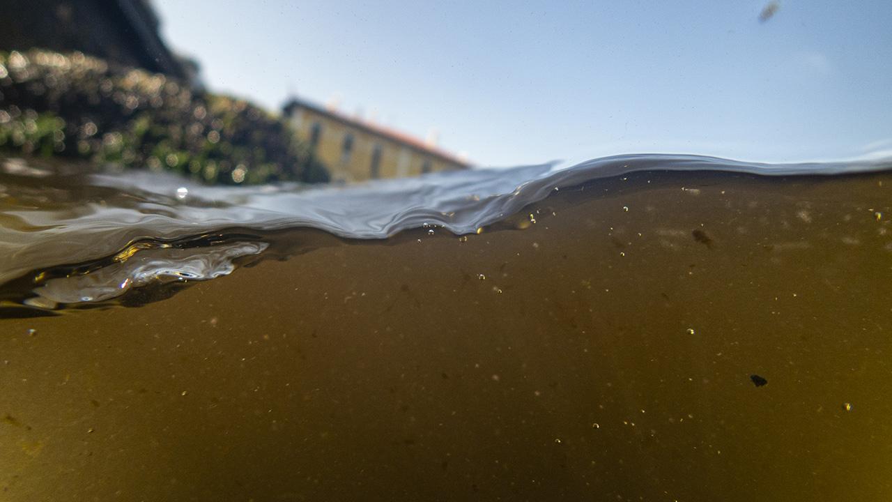 İzmir Körfezi’ndeki kirliliğin haritası çıkarıldı