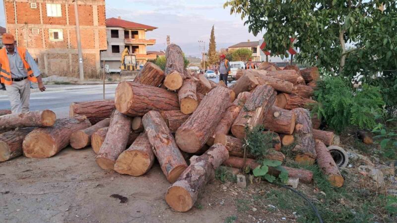 Bursa’da kamyon virajı alamadı! Tomruklar yola saçıldı Bursa’nın İznik ilçesinde virajı alamayan kamyonda yüklü tomruklar yola saçıldı.