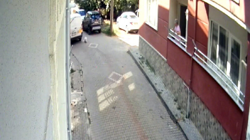 Bursa’da büyük vicdansızlık! Bursa'nın Gemlik ilçesinde, bir kargo şirketine ait aracın sürücüsü, ileri