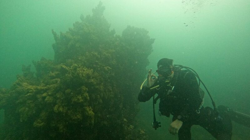 Türkiye'nin en büyük gölü olma özelliğini taşıyan Van Gölü'nde yeni