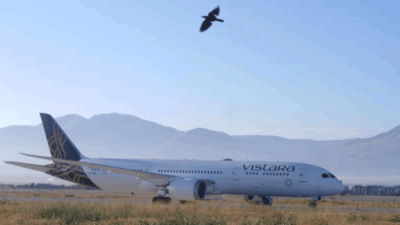 Erzurum Havalimanı’nda bomba alarmı: Arama çalışmaları tamamlandı