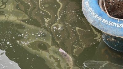 İzmir Körfezi can çekişiyor