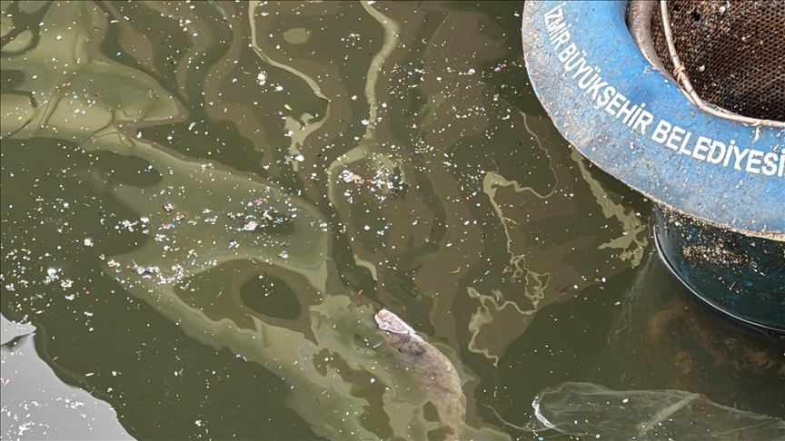 İzmir Körfezi can çekişiyor