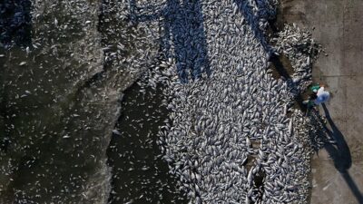 İzmir Büyükşehir Belediyesi’ne 1 milyon 858 bin lira ceza