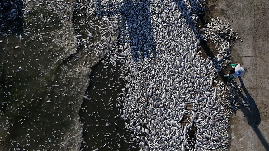 İzmir Büyükşehir Belediyesi’ne 1 milyon 858 bin lira ceza