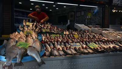 Palamut bolluğu yaşanıyor! Fiyatlar yarıya düştü