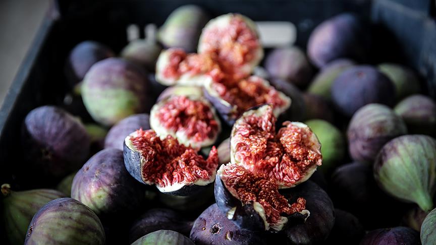 Bakan duyurdu! Bursa’ya bir güzel haber daha