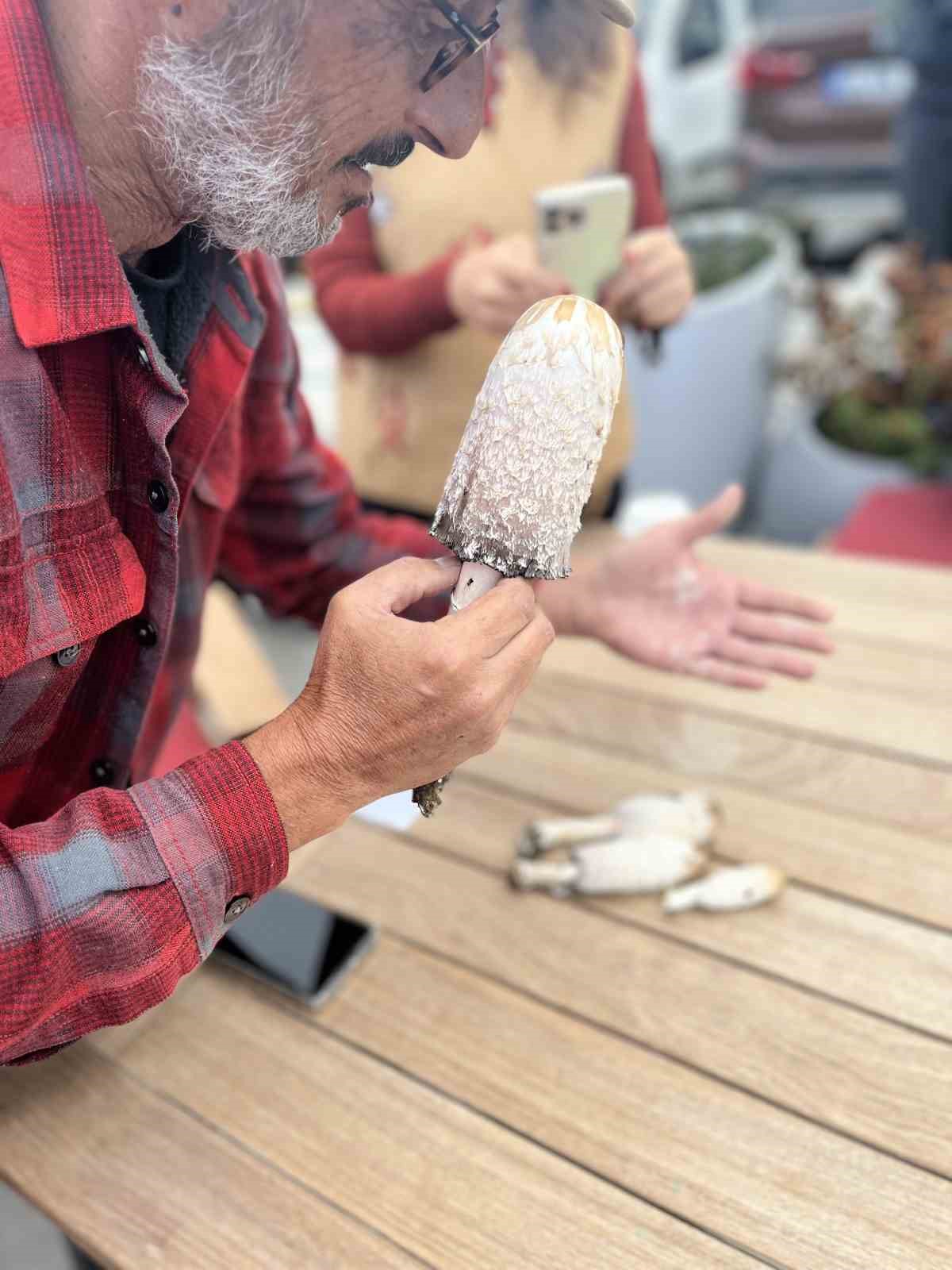 Ünlü mikolog Jilber Barutçiyan Bursa’da eşsiz mantarlar keşfetti Ünlü mikolog Jilber Barutçiyan Bursa’da eşsiz mantarlar keşfetti