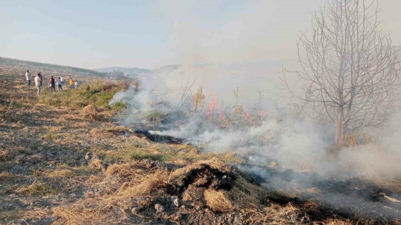 Bursa'nın Yenişehir ilçesinde çıkan orman yangını, ekiplerin havadan ve karadan