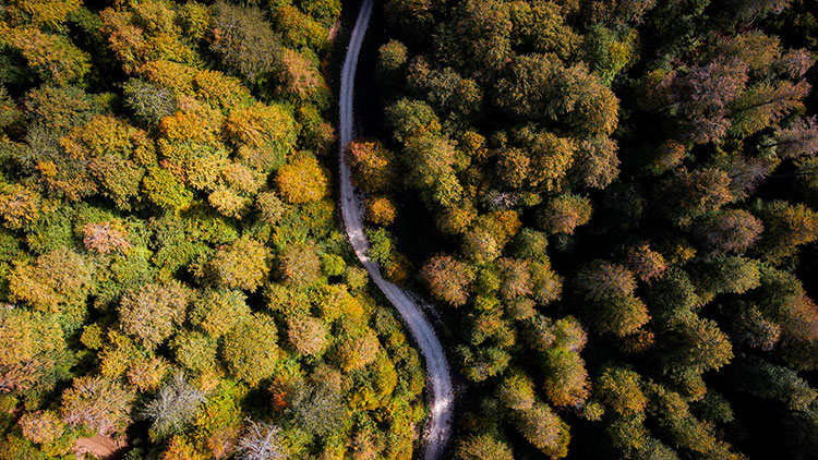 Bursa sınırında sonbahar büyüsü! Harika görüntüler Bursa sınırında sonbahar büyüsü! Harika görüntüler