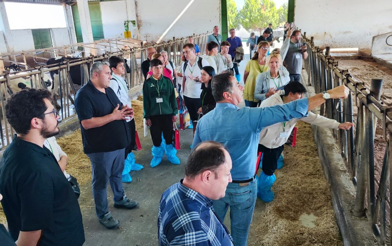 Bursa’nın Avrupalı misafirleri