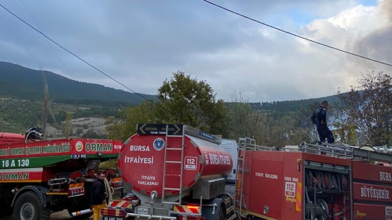 Bursa'nın Orhaneli ilçesinde çıkan yangında 2 ev ile 1 samanlık