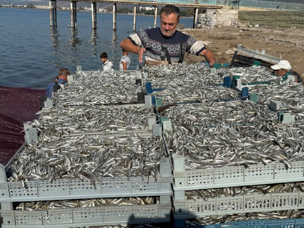 Bursa’nın İznik Gölü’nde tarihi balık rekoru