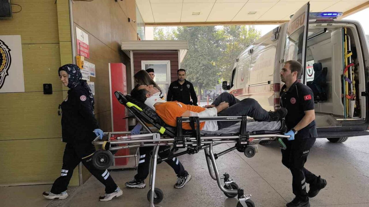 Bursa’da ilginç kaza: Amca-yeğen aynı ağaçtan düştü Bursa’da ilginç kaza: Amca-yeğen aynı ağaçtan düştü