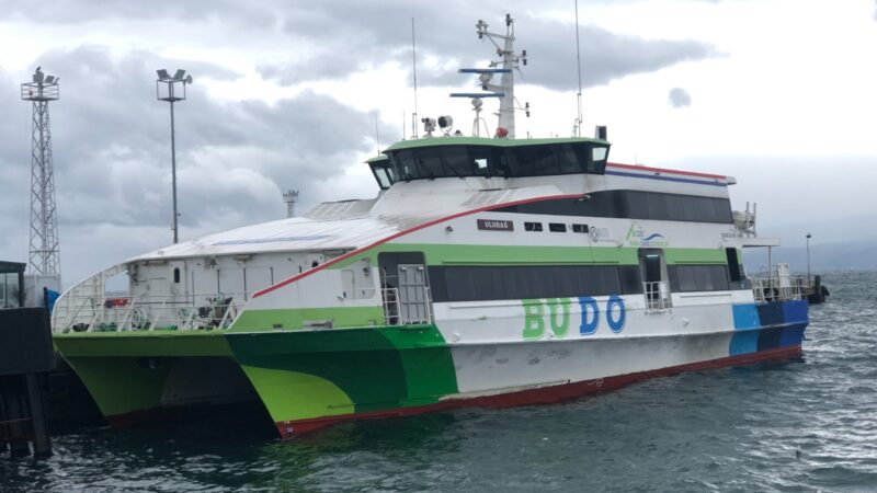 Marmara Denizi'nde etkili olan fırtına nedeniyle, Bursa ile İstanbul arasında